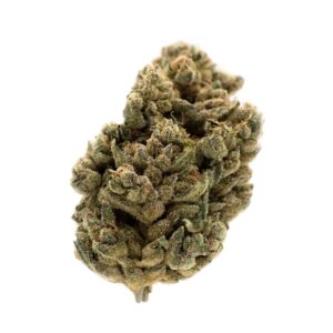 Bud