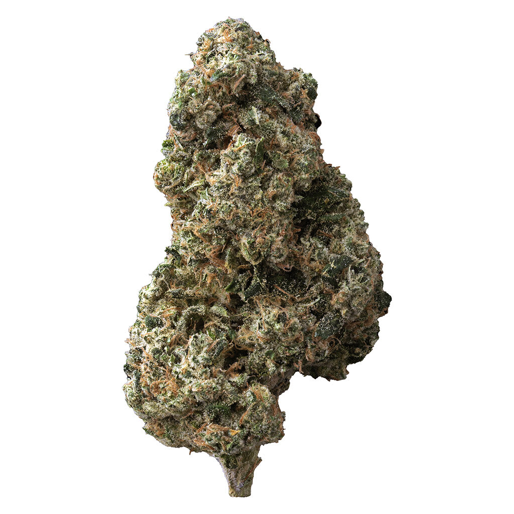 Sticky Bunz 7g Dried Flower