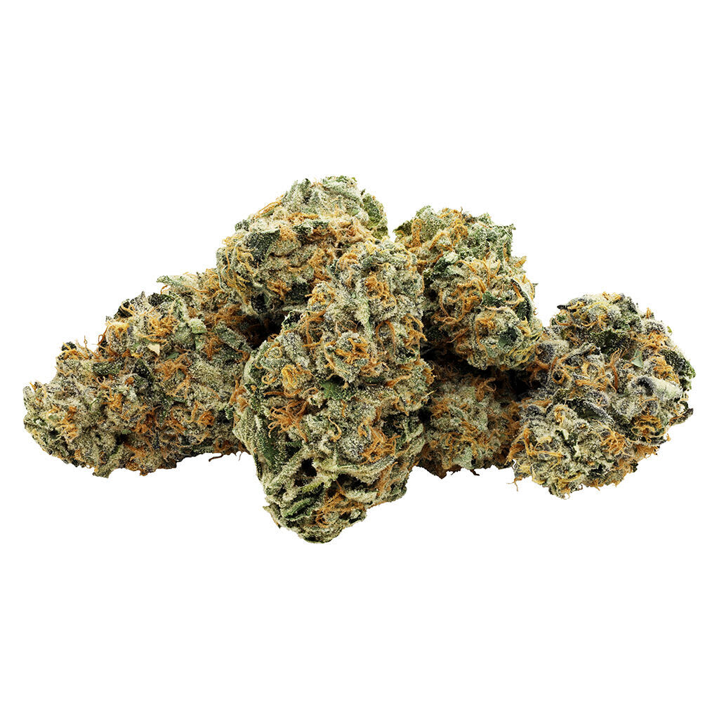 Star Chase 28g Dried Flower