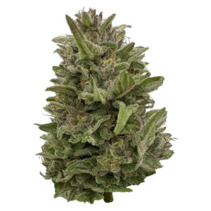 Pass n Dream 28g Dried Flower
