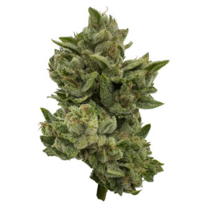 Pass n Play 28g Dried Flower