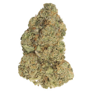 Spiked Mai Tai 7g Dried Flower
