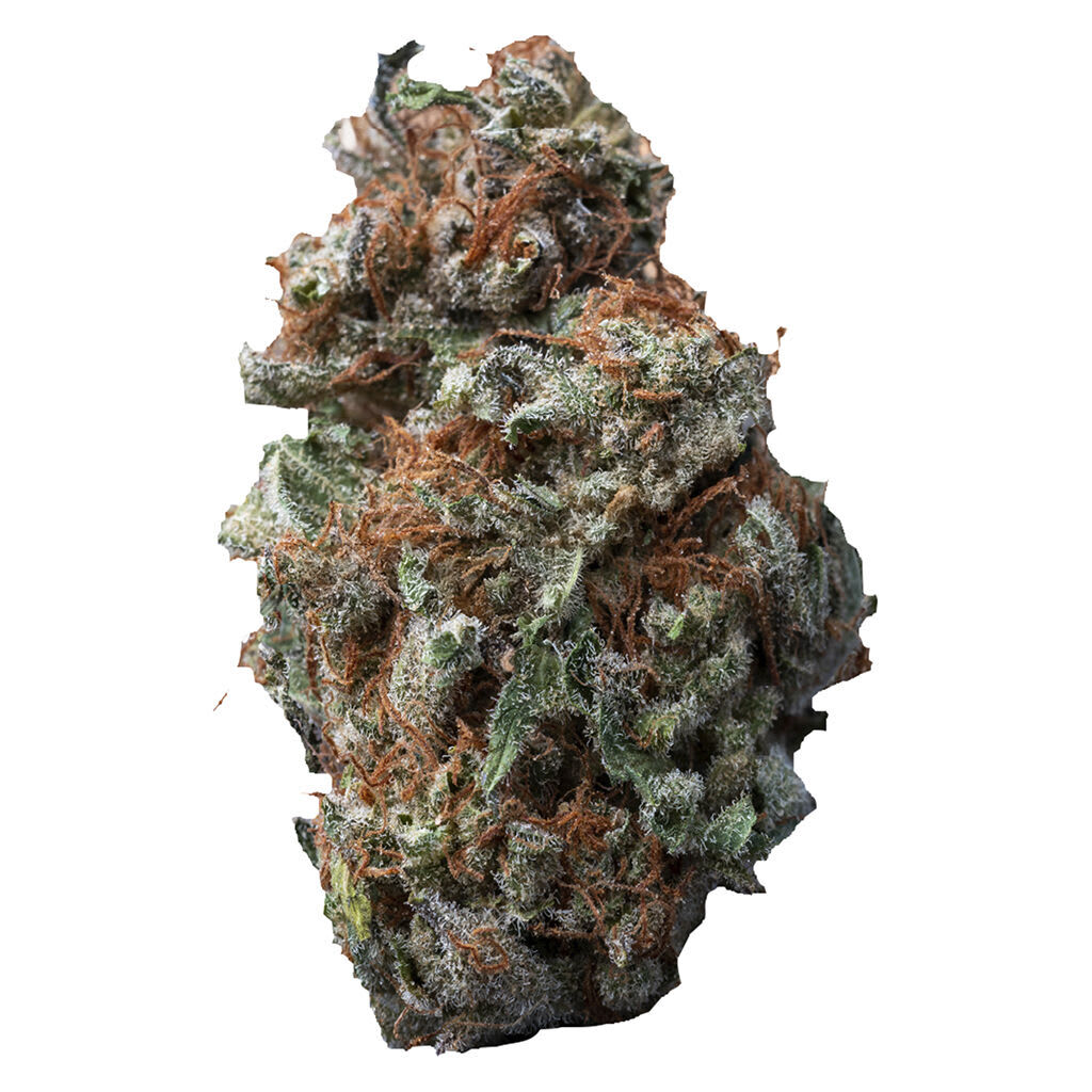 Sasquatch Sap 14g Dried Flower
